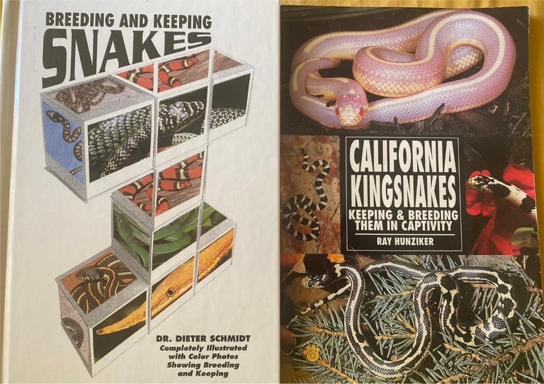 image for Keeping snakes books