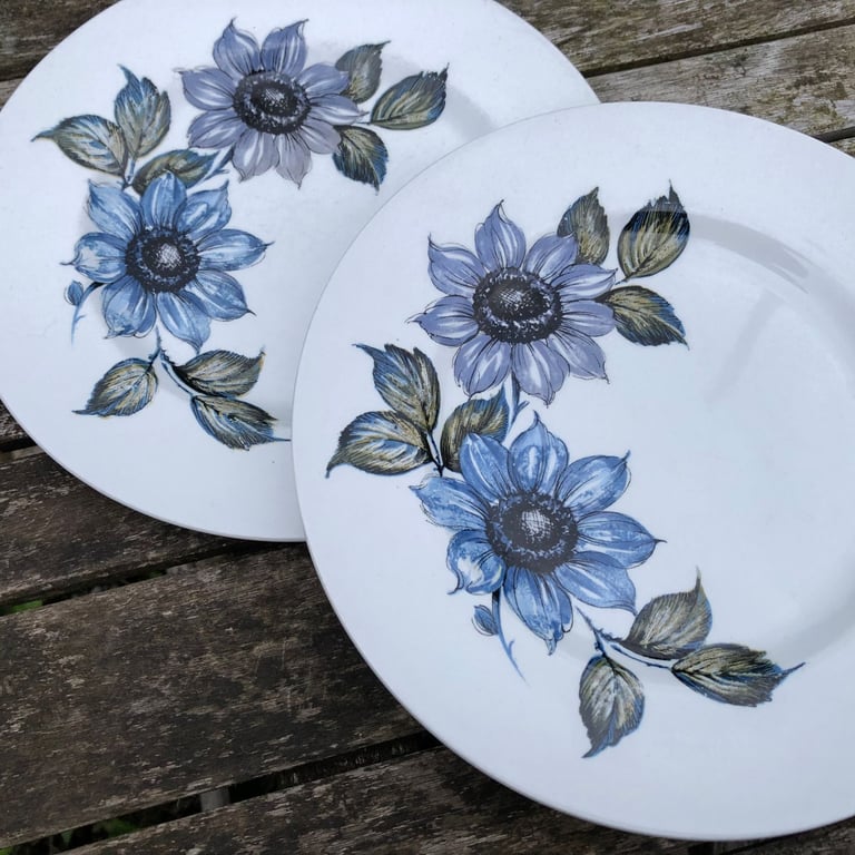 image for 2 vintage ALFRED MEAKIN Glo-White Ironstone blue floral 9” Side Plates