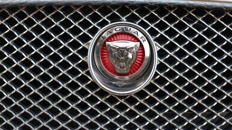 JAGUAR XF 2.2d Portfolio Sportbrake Auto Euro 5 (s/s) 5dr 2015