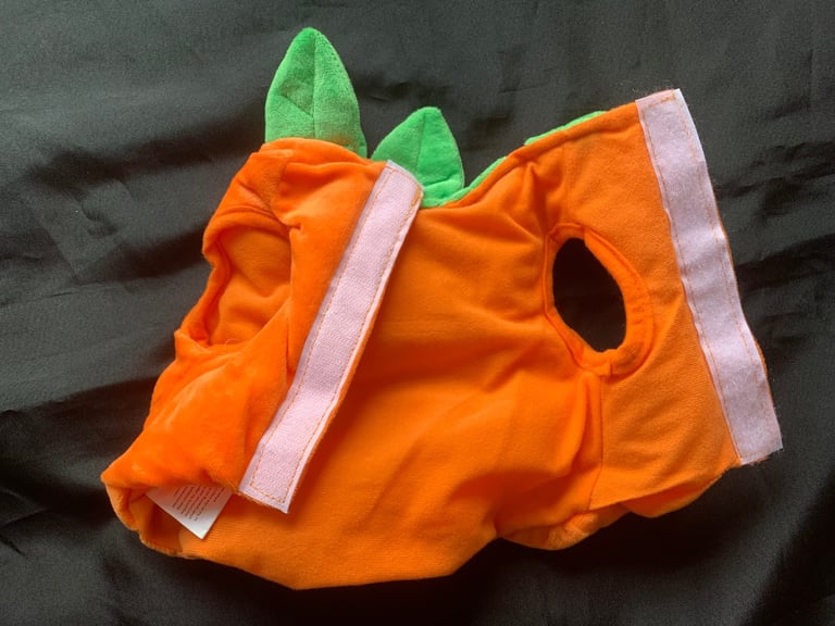 Halloween Baby & Small Dog Pumpkin Costumes 
