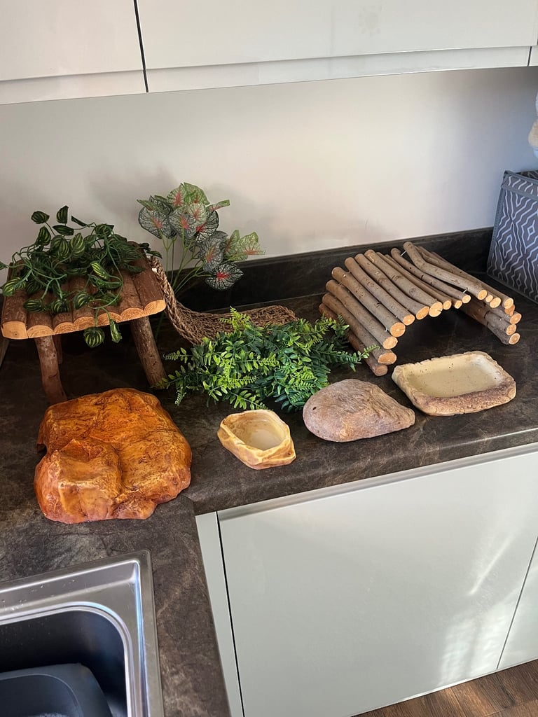 Vivarium 