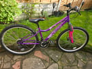 Apollo Independence Girls Junior Mountain Bike