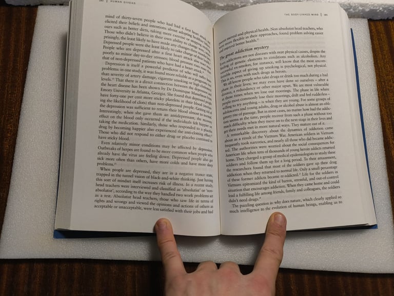 Human Givens – Joe Griffin & Ivan Tyrrell