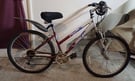 Teens/Small Adult small framed Raleigh bike