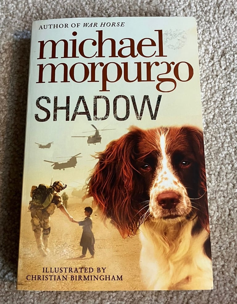 Book bundle for kids 