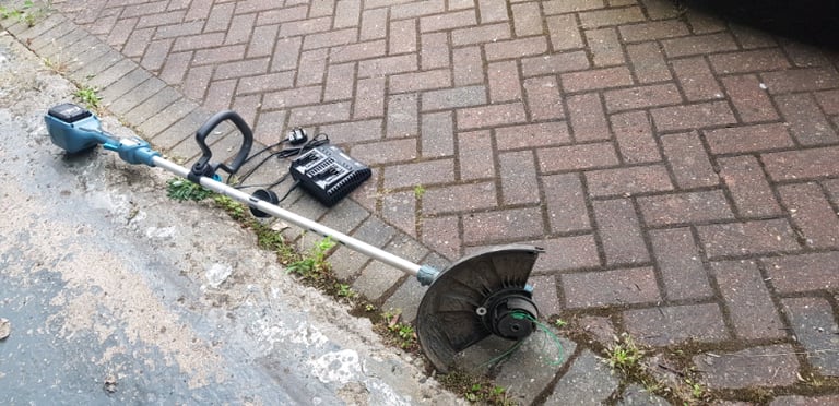 Cordless Strimmer 36v Wesco