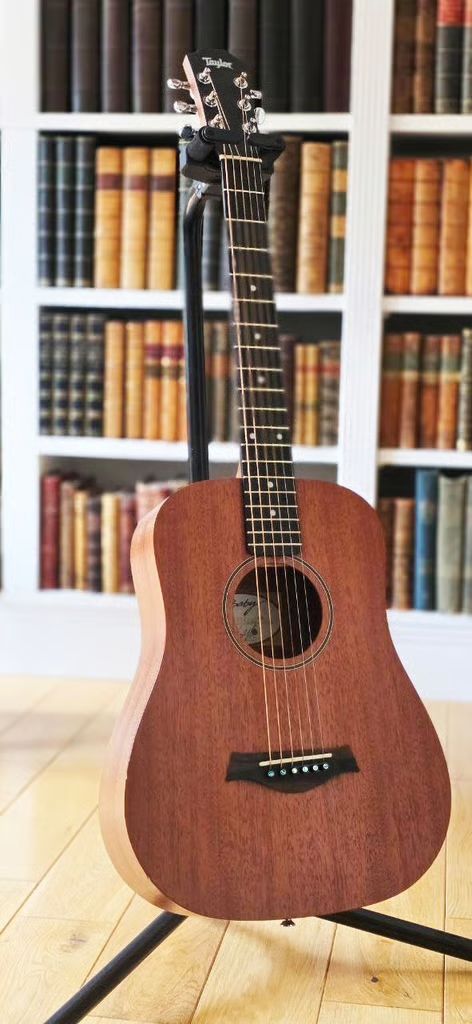 Taylor BT2 guitar with gig-bag in lovely condition with rich sound.