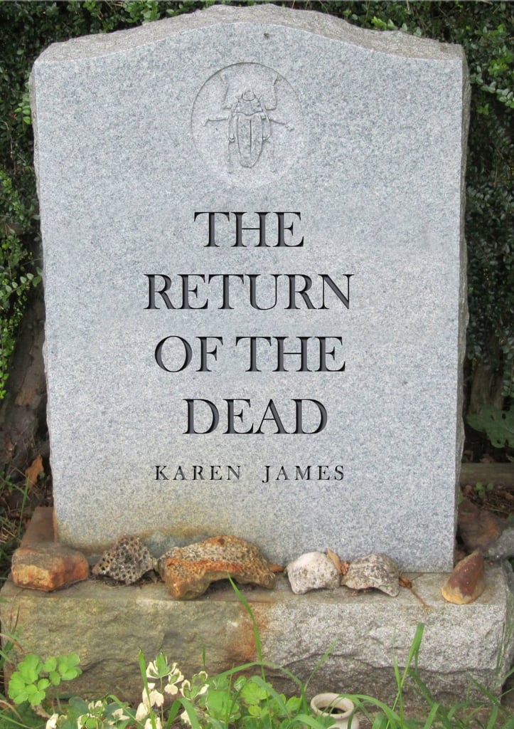 Graphic Artist & Web Design, SEO, Book CD and DVD covers, Packaging, Posters, Leaflets, Logo