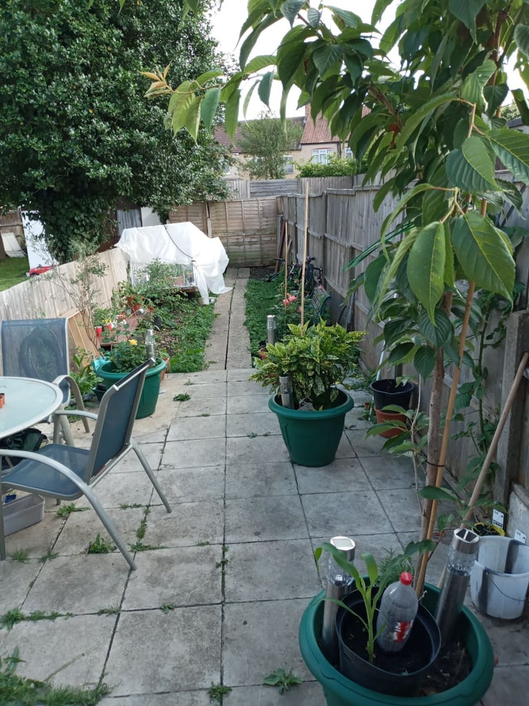 one bed flat to swap 