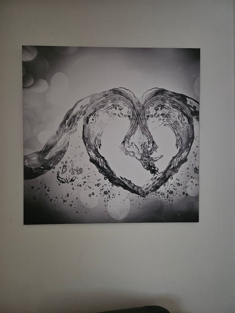 *LOVELY LARGE CANVAS - 90x90cms - only £15*