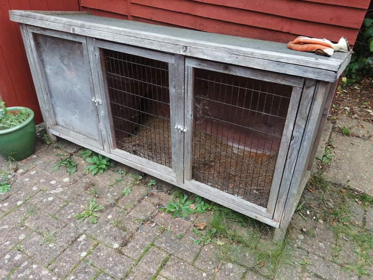 Guinea pig hutch 