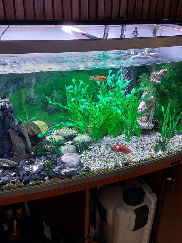 AQUA 1 FISH TANK