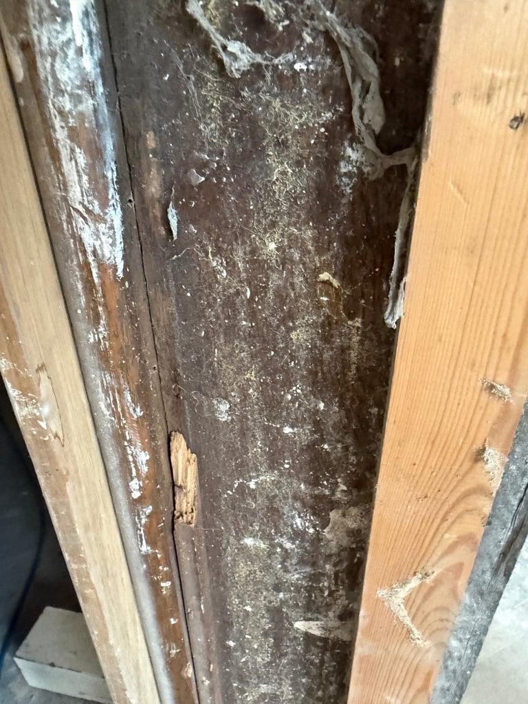 Oak staircase * real oak + weights a ton 