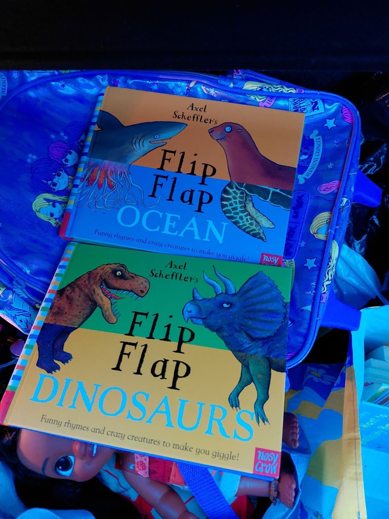 image for All sorts of kids books £70