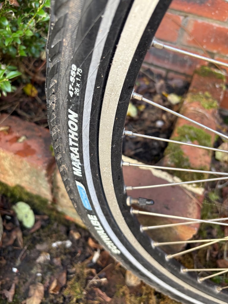 Tandem bicycle. Dawes Edge
