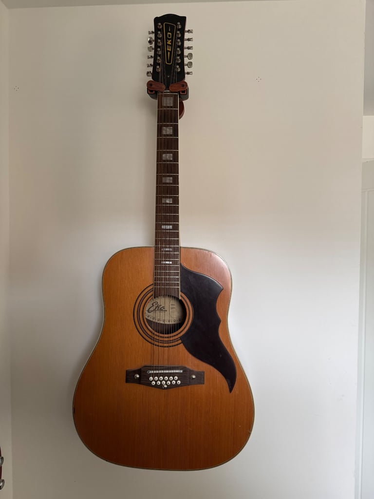 image for 12 string acoustic 