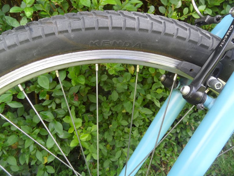 Men's Mountain Bike Blue Carerra Parva Ltd edition