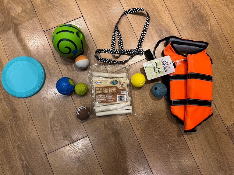 Free assorted dog accessories - balls, lead, chews 