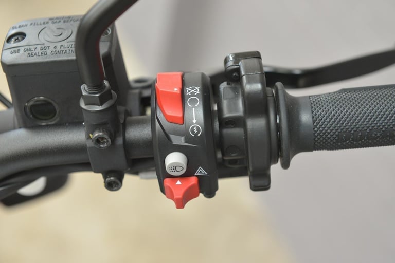 2023 Ducati Scrambler 800 803 Euro 5