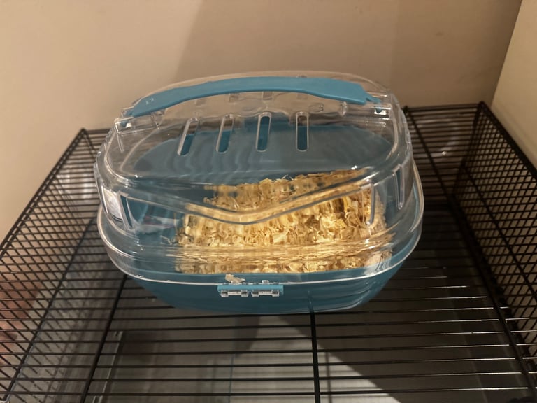 Complete Syrian Hamster Set 