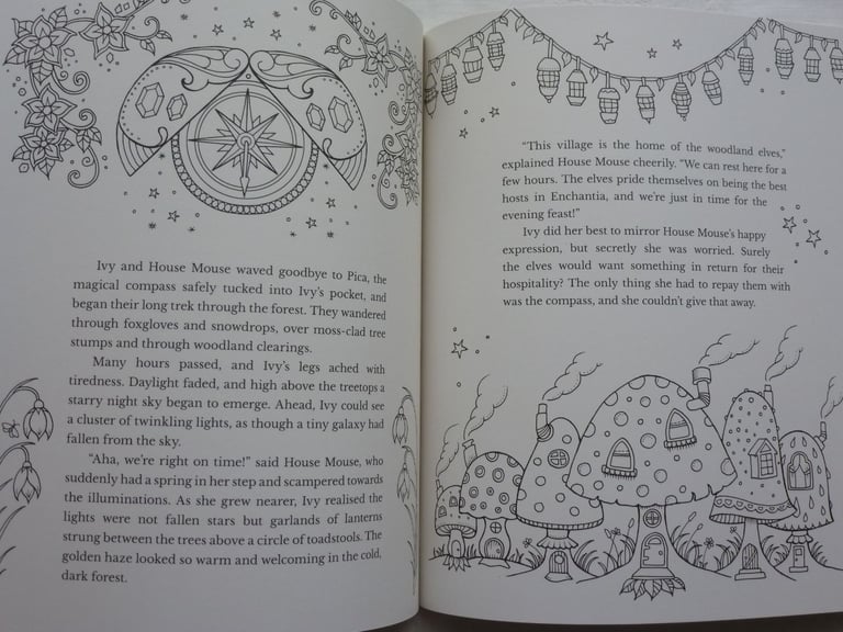 IVY AND THE INKY BUTTERFLY STORY AND COLOURING BOOK