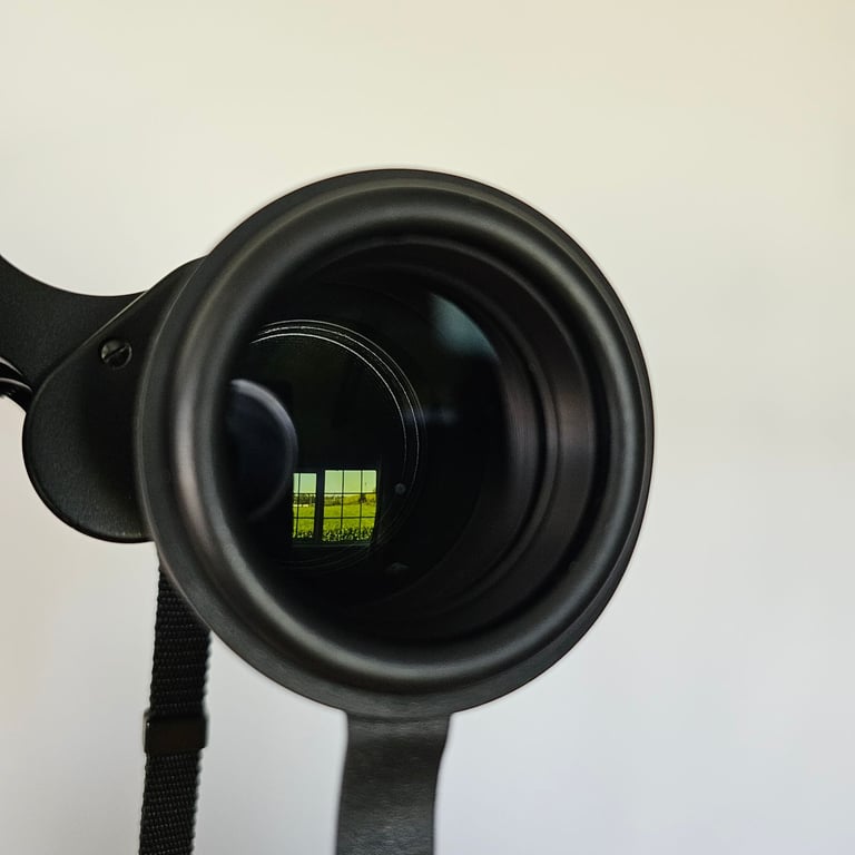 Swarovksi Binoculars 10 x 40 W 