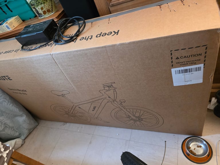 Unisex electric bike