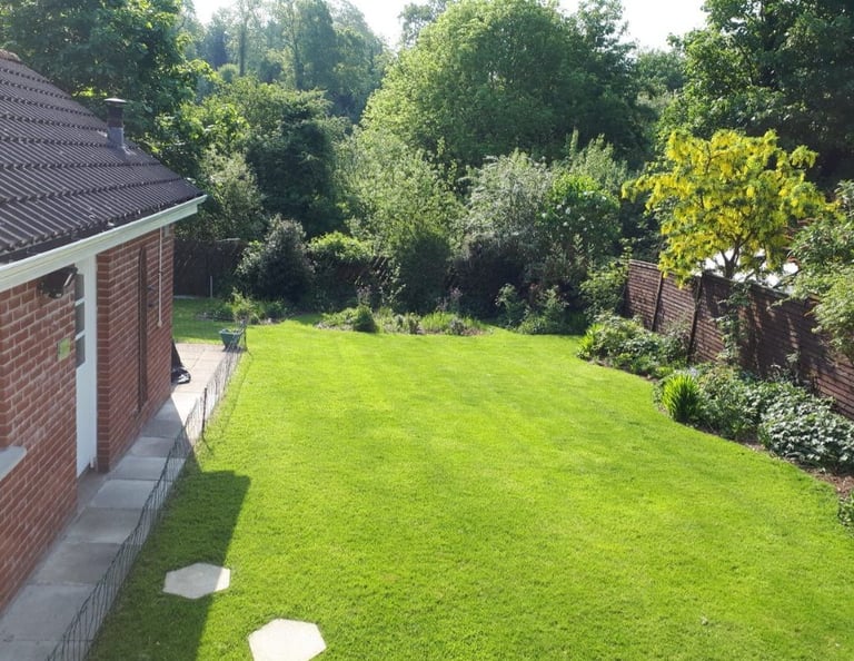 image for Outdoor tidy ups, shed clearance, grass cutting, strimming