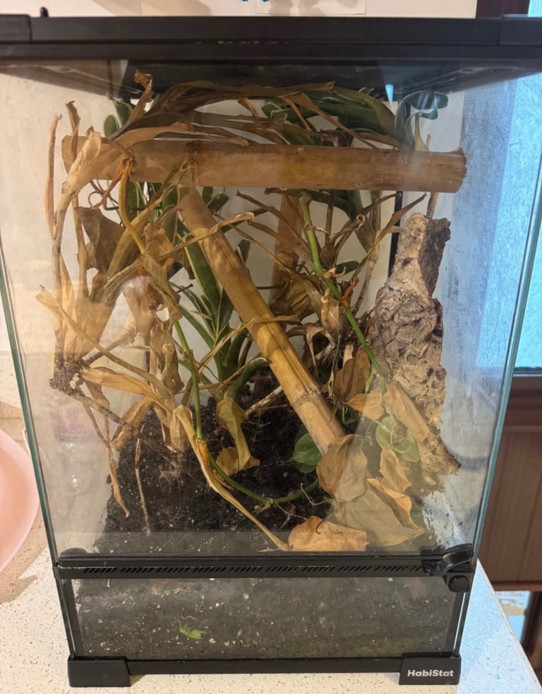 Habistat Vivarium 
