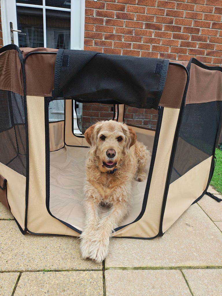 XL Portable Pop-Up Dog Pen
