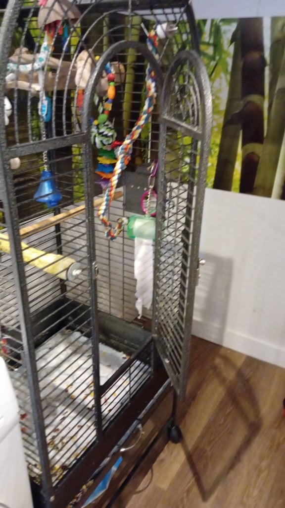 Parrot cage