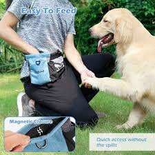 Pet Snack Bag Training Waist Bag Out Multifunctional Pet Training Bag