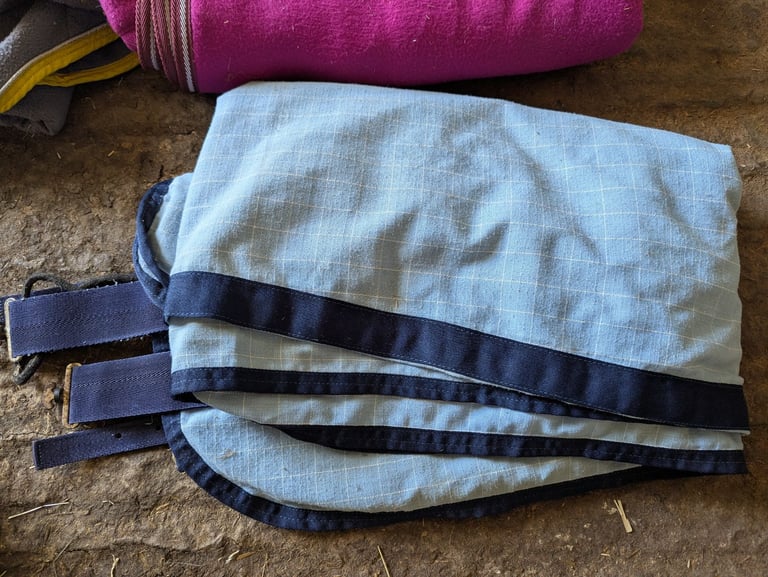 Rugs and cob head collars 