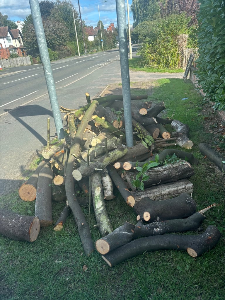 Oak tre logs 
