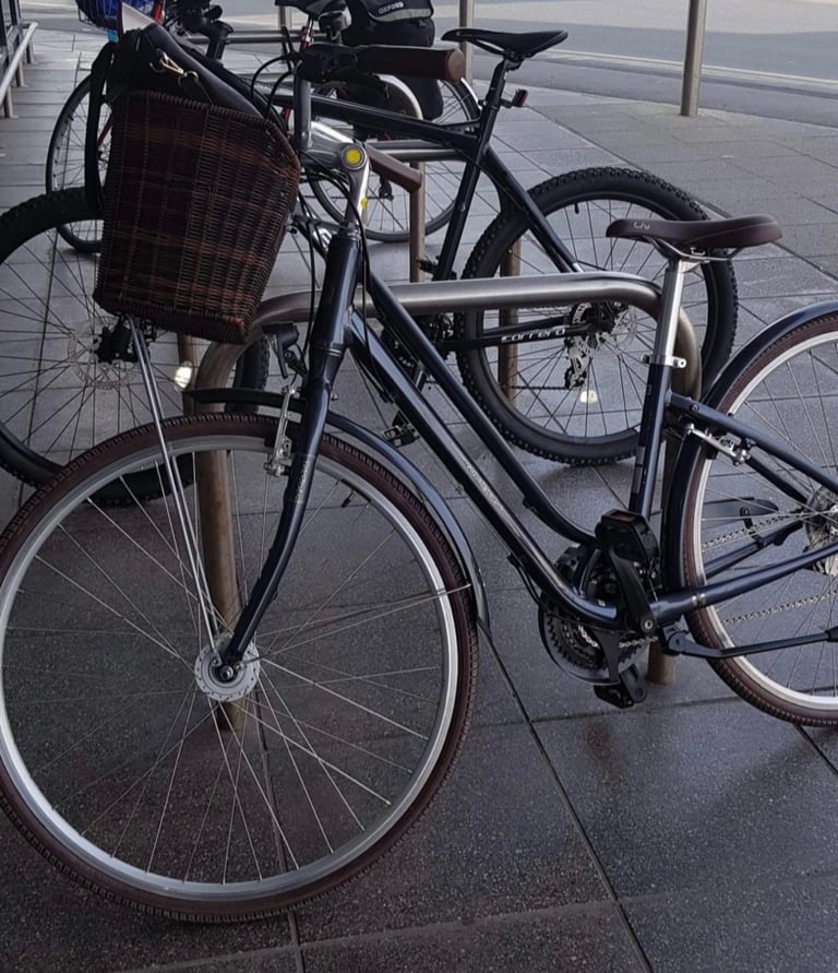 Liv flourish bicycle 