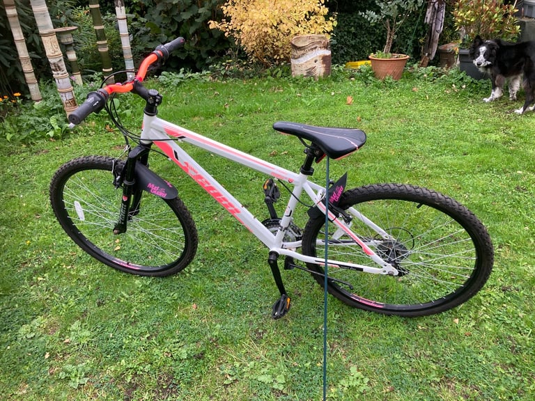 Team gx teens Mountain bike as new!