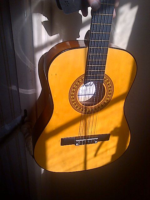 Acoustic Guitar