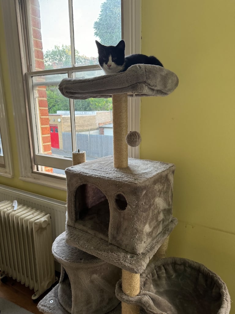 Cat tree 