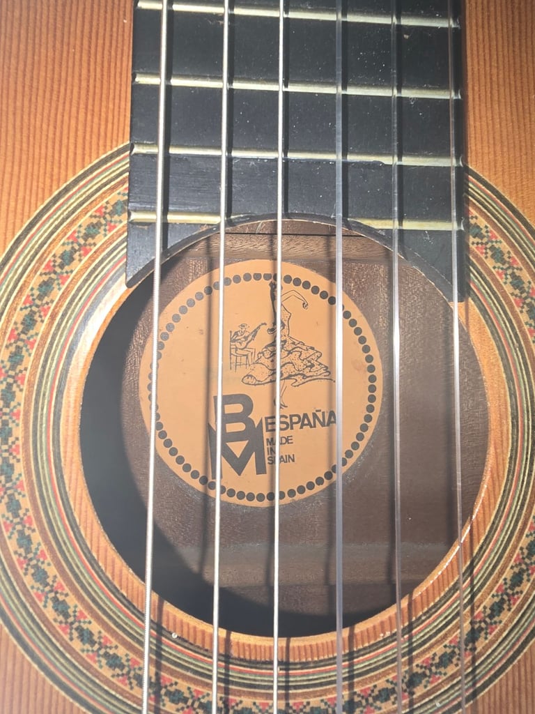 BM guitar 