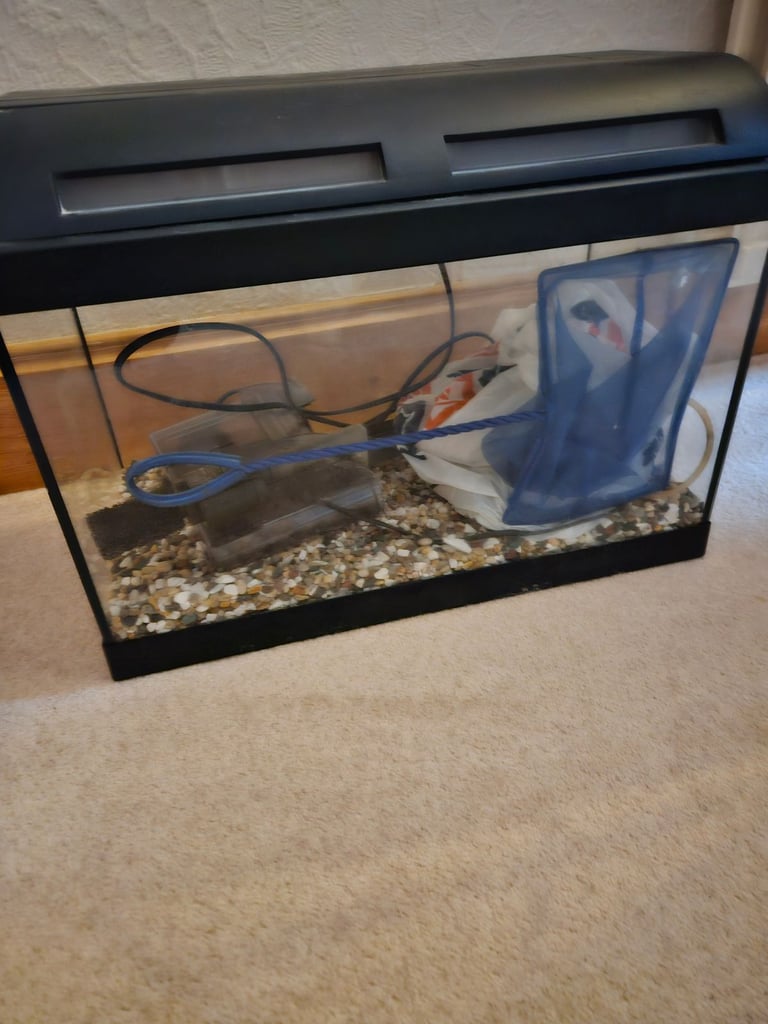 Fish tank