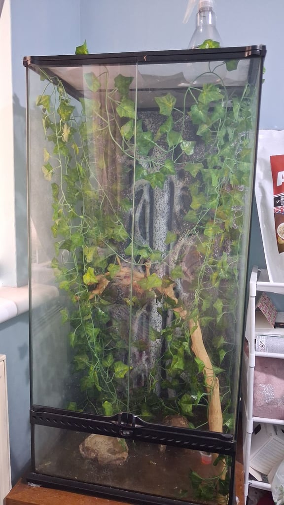 Exo Terra vivarium with accessories