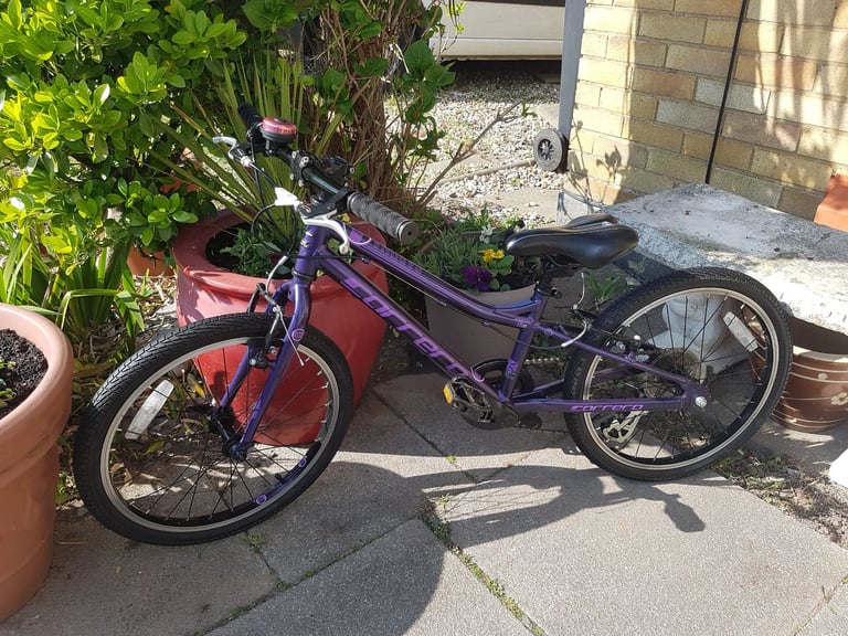 GIRLS 20" CARRERA BIKE ALUM FRAME IN GOOD CLEAN CONDITION  AGE 6+