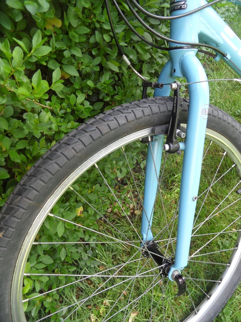 Men's Mountain Bike Blue Carerra Parva Ltd edition