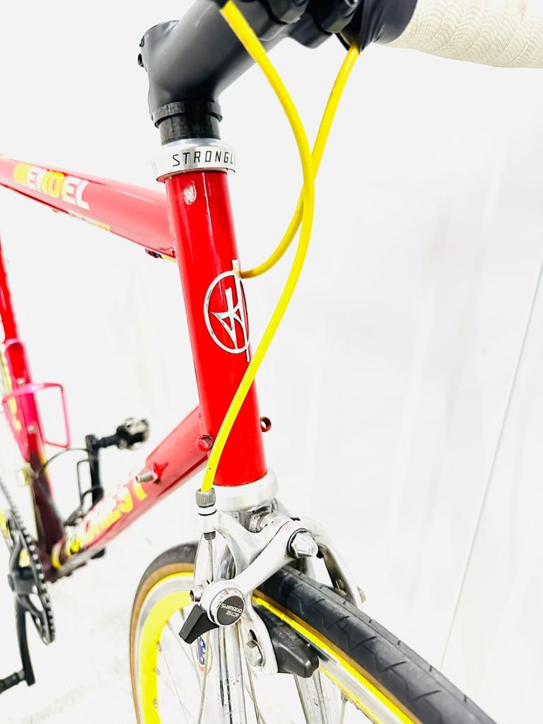 FONDRIEST Size/L Super LW Single Speed Road Bike Fully Serviced 