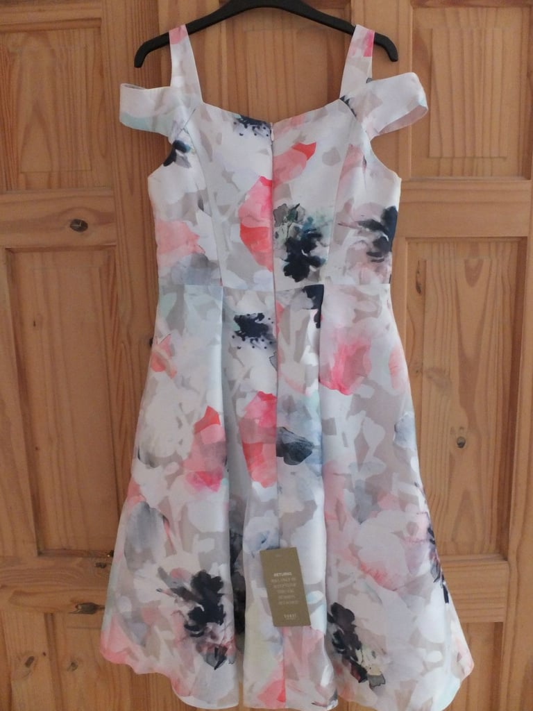 Coast Dress Size 12 Short Cost over £200 BNWT