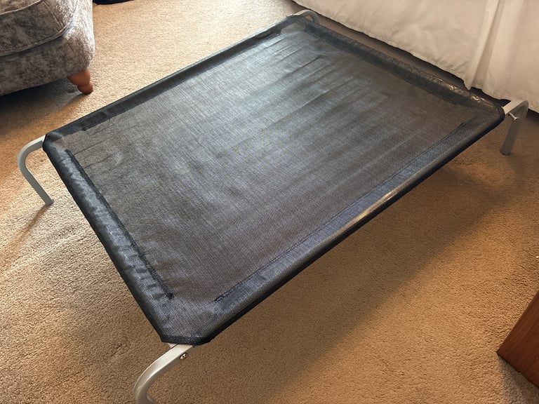 Raised dog bed