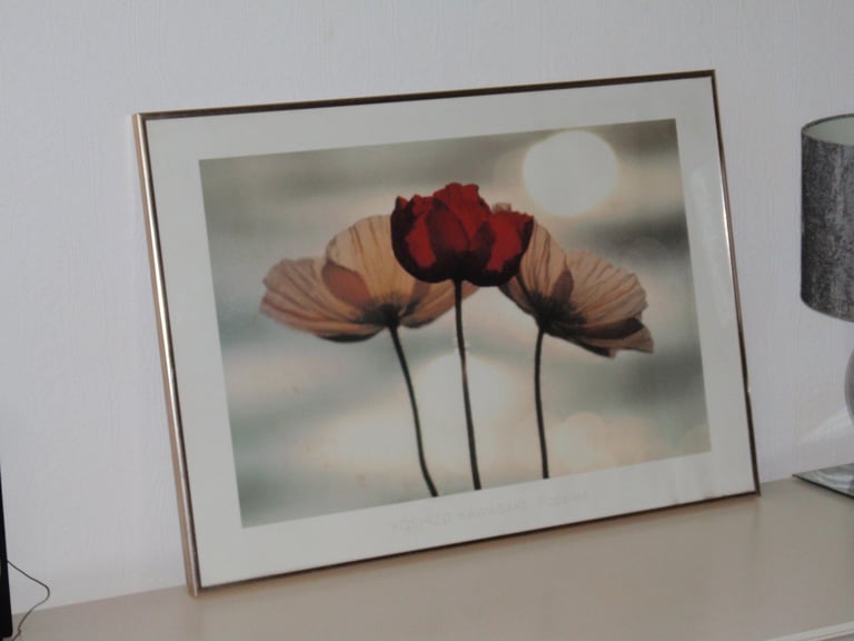 image for Beautiful Framed Picture of &quot;Poppies&quot; by Yoshizo Kawasaki