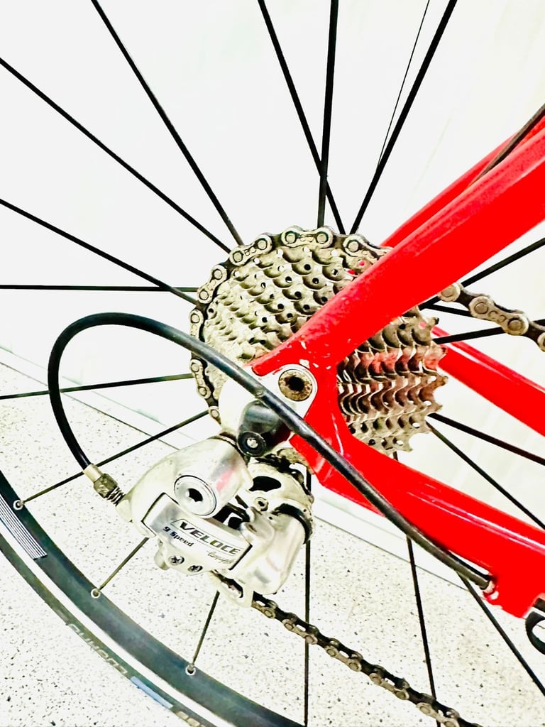 TIFFOSI Columbus Size/S Road Bike 18 Speed STI Gears Fully Serviced Warranty 