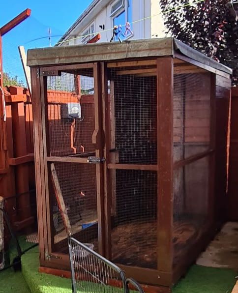 Cattery 8ft x 4 ft