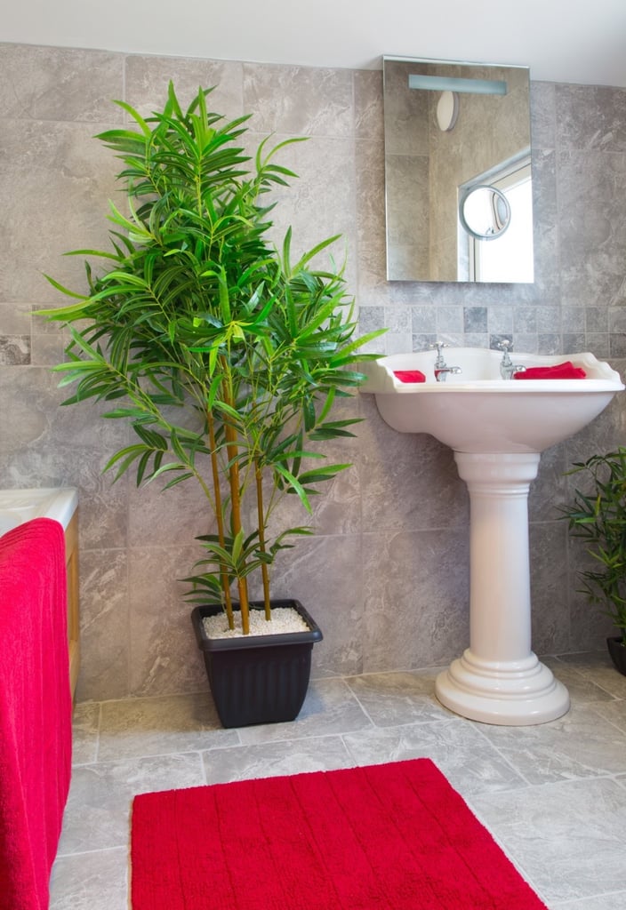 Single Rooms to Rent - Stoke Plymouth